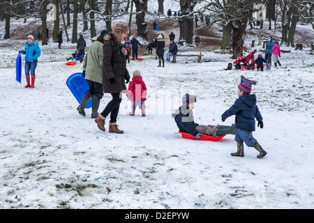 Familles avec animaux domestiques et des traîneaux profiter de la neige dans la région de Richmond Park neige par temps froid l'hiver,Richmond upon Thames, Grand Londres, UK Banque D'Images