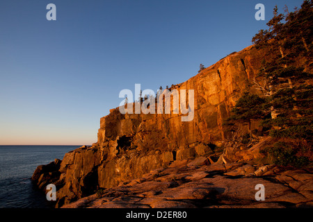 Les premiers rayons de soleil illuminent le Otter Cliffs situé dans l'Acadia National Park près de Bar Harbor, Maine. Banque D'Images