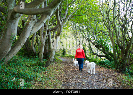 Femme sur le chemin côtier du Nord avec 2 chiens Banque D'Images