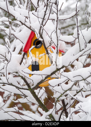 Nichoir oiseaux dans un arbuste enneigé Banque D'Images