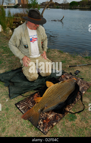 Homme avec une grosse carpe commune (Cyprinus carpio) à Lady Bird Lake Austin, Texas Banque D'Images