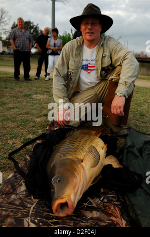 Homme avec une grosse carpe commune (Cyprinus carpio) à Lady Bird Lake Austin, Texas Banque D'Images