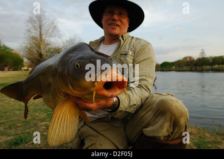 Homme avec une grosse carpe commune (Cyprinus carpio) à Lady Bird Lake Austin, Texas Banque D'Images