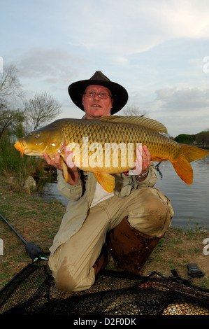 Homme tenant une carpe commune (Cyprinus carpio) à Lady Bird Lake Austin, Texas Banque D'Images