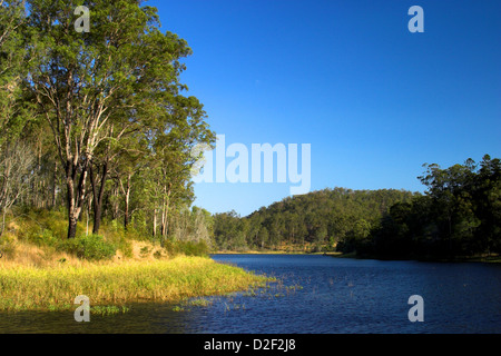 Forrest Park Brisbane Queensland Australie Banque D'Images