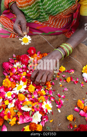 Femme fabriquer et vendre des guirlandes à l'extérieur d'un temple hindou Goverdan. L'Inde. Banque D'Images