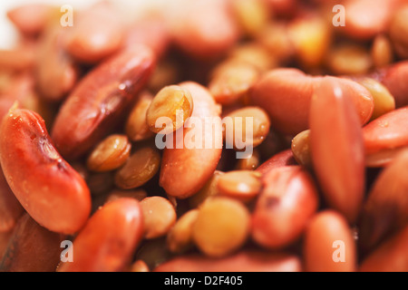 Cuire les haricots rouges et les lentilles close-up Banque D'Images