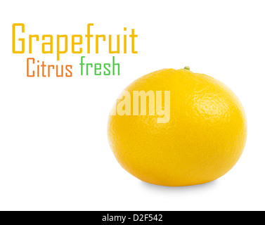 Le pamplemousse sur fond blanc Banque D'Images