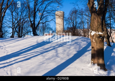 Petit château de Toompea part à Tallinn en Estonie, vieille ville Banque D'Images