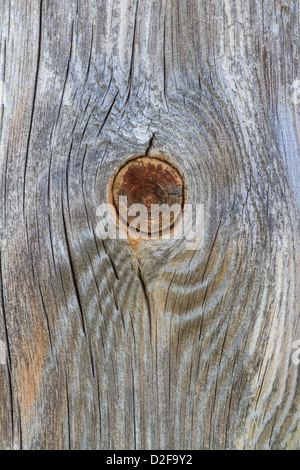 Closeup détail de planche en bois avec la direction générale de l'ancien nœud tronc Banque D'Images