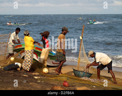 Pêcheurs de Negombo Sri Lanka trier la capture d'un bateau vient d'arriver sur la plage et verser dans un panier de poissons Banque D'Images