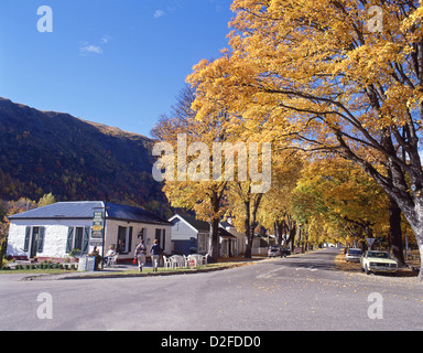 Scène de rue d'automne, Buckingham Street, Arrowtown, Queenstown-Lakes, District de la région de l'Otago, île du Sud, Nouvelle-Zélande Banque D'Images