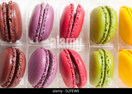 Close-up de l'assortiment de macarons colorés dans le bac sur fond clair Banque D'Images