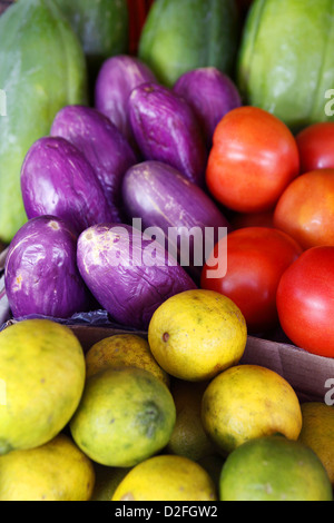 Aubergines / aubergines et tomates, St Thomas, Virgin Islands, Caribbean Banque D'Images