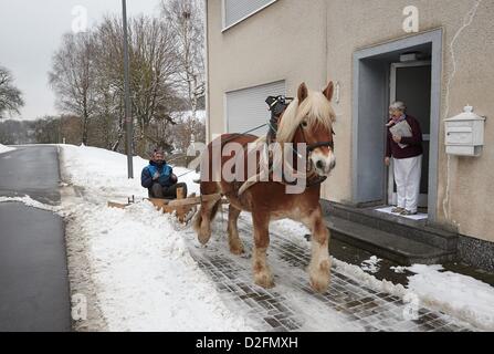 Juergen Heinz et son cheval hongre Michel le déneigement des trottoirs dans Elchweiler, Allemagne, 22 janvier 2013. Il faut environ 20 minutes pour Juergen Heinz pour le déneigement des trottoirs dans le village de 100 habitant avec son auto-construction labourer. Photo : Thomas Frey Banque D'Images