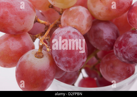 Les raisins rouges frais sur fond blanc Banque D'Images