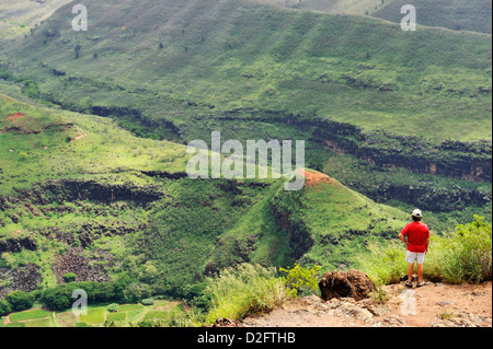 L'homme en contemplant la vue sur le Canyon de Waimea, l'île de Kauai, Hawaii Islands, USA Banque D'Images