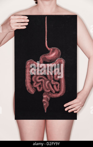 Woman holding a blackboard with a diagram / illustration of the human digestive system drawn on it in chalk Banque D'Images