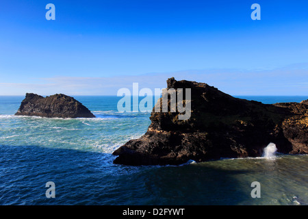 Le "trou" Coup de Boscastle, Baie de Boscastle, Cornwall County, village de Boscastle, England, UK Banque D'Images