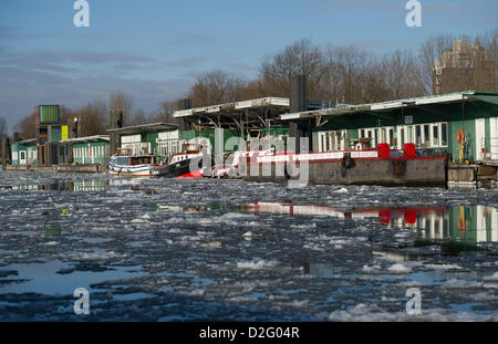 Hambourg, Allemagne. 23 janvier 2013. Dans Tideelbe dérive floes à Hambourg, Allemagne, 23 janvier 2013. La Fondation 'La société' Elbe Elbe habitat (lit.) inspecte avec l'Autorité portuaire de Hambourg où l'habitat possible pour la flore et la faune existe et comment créer un plus grand habitat dans le Tideelbe pour eux. Photo : Axel Heimken/ Alamy Live News Banque D'Images