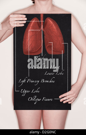 Femme tenant un tableau noir avec un diagramme intitulé / illustration du corps humain et les poumons appelée craie Banque D'Images