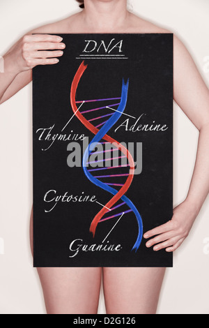 Femme tenant un tableau noir avec un diagramme / illustration d'une double hélice d'ADN strand dessiné dessus à la craie Banque D'Images