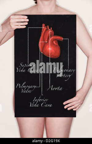 Femme tenant un tableau noir avec un titre diagramme / illustration d'un corps humain coeur dessiné dessus à la craie Banque D'Images