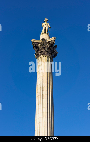 La colonne Nelson, Londres, UK Banque D'Images
