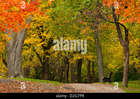 Mont Royal Montréal parc d'automne Banque D'Images
