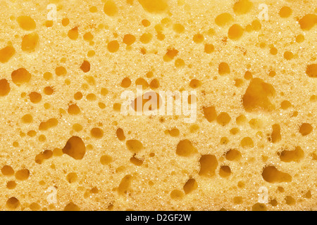 La texture d'une éponge jaune pour l'arrière plan. Close up Banque D'Images