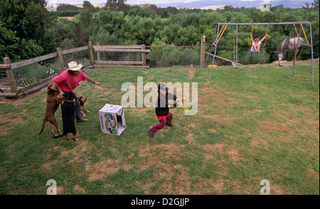 Père et fils jouer backyard cricket, avec l'aide de la famille des chiens, l'Australie Banque D'Images