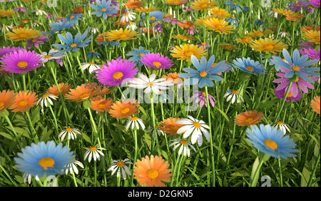 Vue rapprochée d'une herbe déposée, l'abondance de fleurs multicolores. Banque D'Images