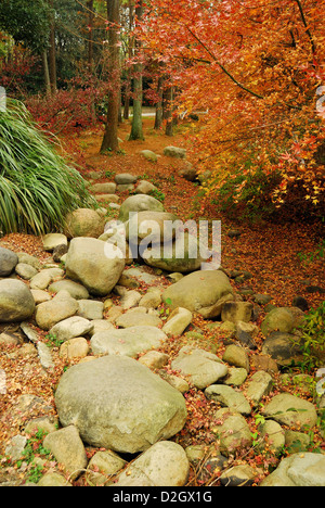 Nature Paysage paysage du jardin chinois entouré de rochers et d'arbres, GongQing Forest Park, la ville de Shanghai, Chine. Banque D'Images