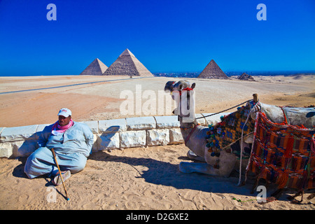 Un chamelier avec camel à la grande pyramide de Gizeh nécropole complexe au près du Caire, Égypte. Banque D'Images