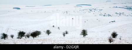 Wiltshire Downs près de Vega en hiver la neige. Banque D'Images