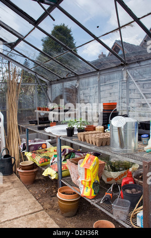 Accueil serre en montrant l'utilisation de l'équipement de jardinage étagères standard Banque D'Images