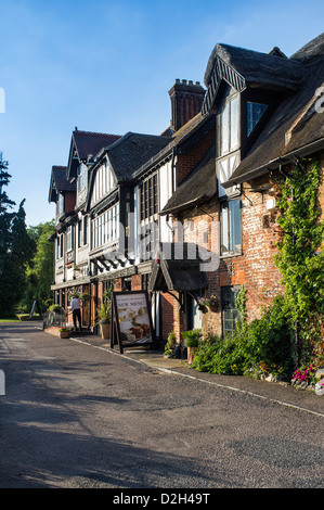 The Swan Inn à Horning Norfolk Broads Village UK Banque D'Images