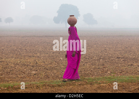 L'Inde, Uttar Pradesh, woman walking through misty field portant de l'eau pot sur sa tête Banque D'Images
