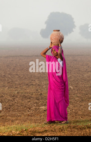 L'Inde, Uttar Pradesh, woman walking through misty field portant de l'eau pot sur sa tête Banque D'Images
