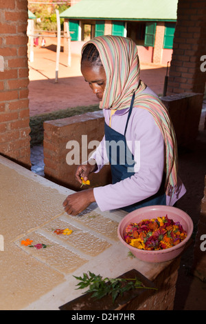 Madagascar, Ambalavao, woman pétales de fleurs en papier fait main Avoha Antaimoro Banque D'Images