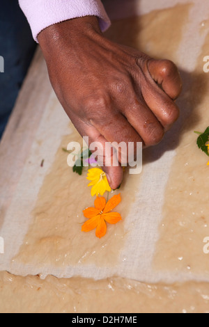 Madagascar, Ambalavao, portant à la main des pétales de fleurs en papier fait main Avoha Antaimoro Banque D'Images