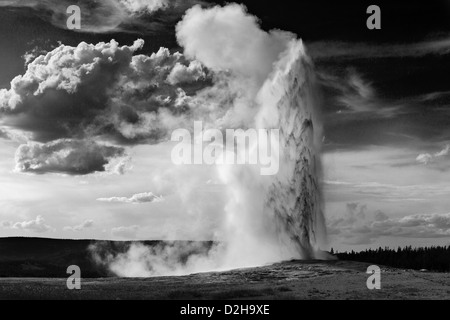 Old Faithful éclate contre les nuages de tempête dans le Parc National de Yellowstone, Wyoming, en noir et blanc Banque D'Images