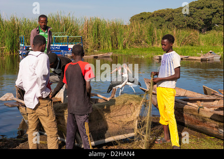 Les garçons la préparation des filets de pêche, Awasa, Ethiopie Banque D'Images