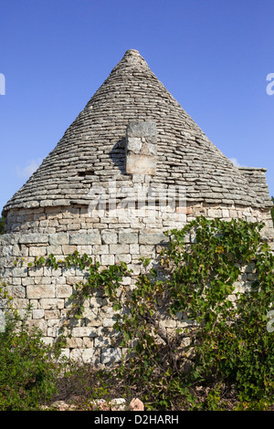 Trulli typiques du Gargano dans les Pouilles, Pouilles, Italie, Banque D'Images