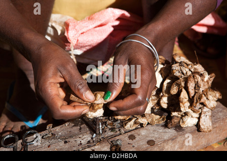 Madagascar, Ambalavao, Soalandy Atelier soie mains de travailleur les cocons de soie sauvage tournant Banque D'Images