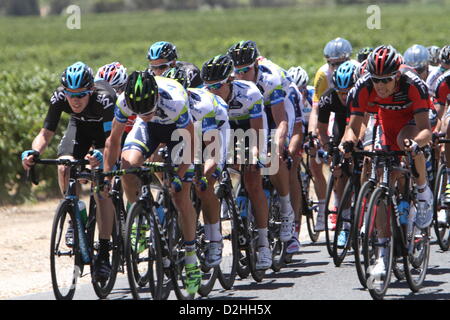 De l'équipe Orica Greenedge attaquer sur l'avant du peleton dans les derniers kilomètres de l'étape 4 de la Santos Tour Down Under 2013 de Modbury à Tanunda, Australie du Sud le 25 janvier 2013. Banque D'Images