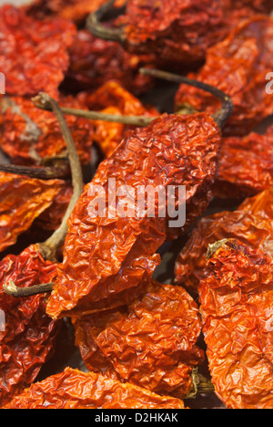 Bhut jolokia piments séchés (également connu sous le nom de Naga Naga Jolokia, Ghost, etc). Voir la description fort pour plus d'informations. Banque D'Images