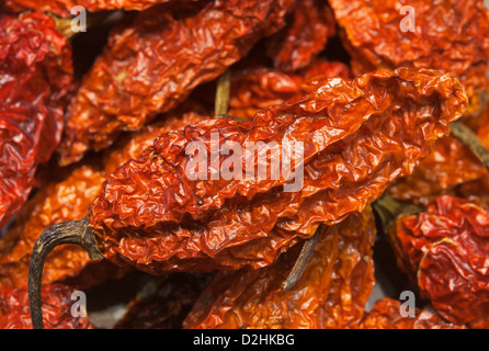 Bhut jolokia piments séchés (également connu sous le nom de Naga Naga Jolokia, Ghost, etc). Voir la description fort pour plus d'informations. Banque D'Images