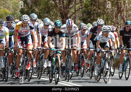 Le 25 janvier 2013. Tanunda, Australie. Tour Down Under l'étape 4 à Modbury Tanunda. Le peleton.Action Plus Sport Images/Alamy live news. Banque D'Images