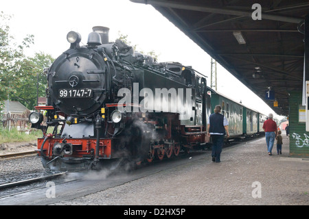 L'Lößnitzgrund Railway et locomotive à vapeur et train de voyageurs, Allemagne Banque D'Images